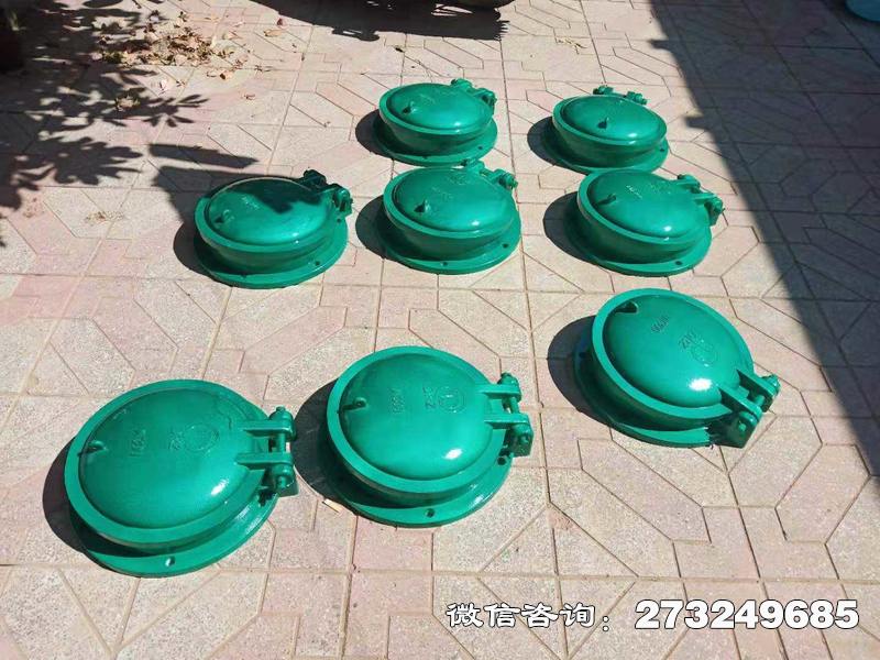 崇安玻璃钢止水拍门