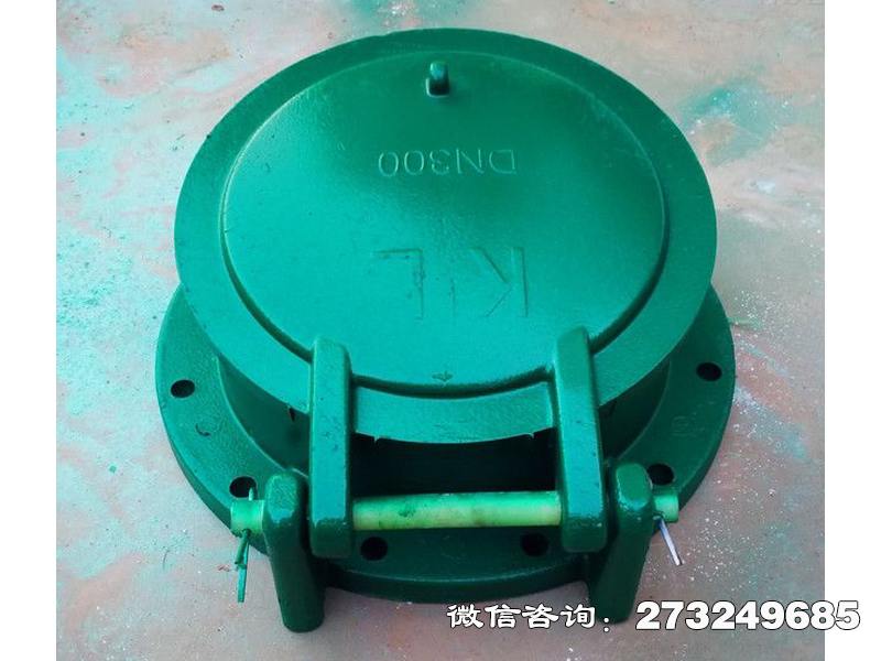 南长dn300复合材料拍门