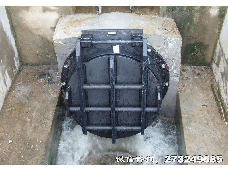 安阳县钢制水渠拍门